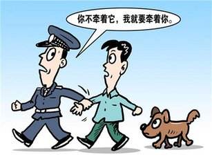 宠物牵引绳|宠物用品
