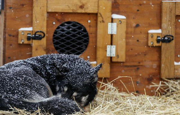 宠物衣服|宠物用品生产厂家|趣逗派宠物用品|东莞市琪美实业有限公司