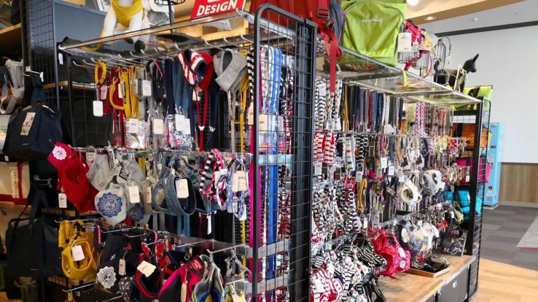 宠物用品|趣逗派宠物用品|东莞市琪美实业有限公司