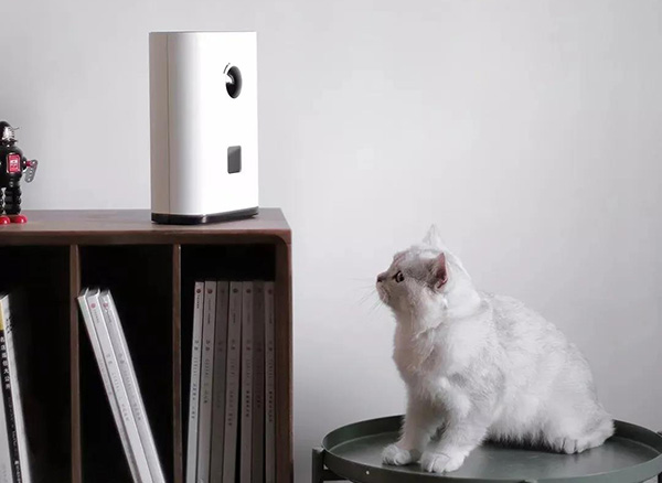 宠物用品|趣逗派宠物用品|东莞市琪美实业有限公司