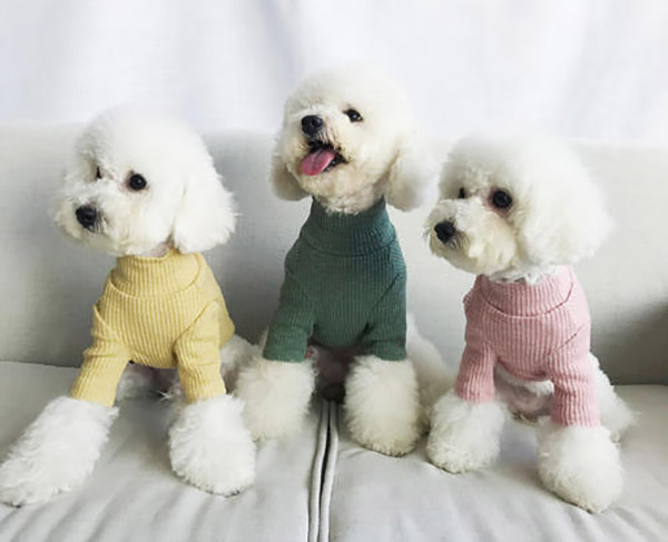 宠物衣服|宠物用品生产厂家|趣逗派宠物用品|东莞市琪美实业有限公司