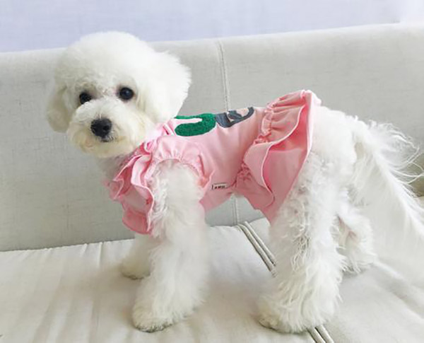 宠物衣服|宠物用品生产厂家|趣逗派宠物用品|东莞市琪美实业有限公司