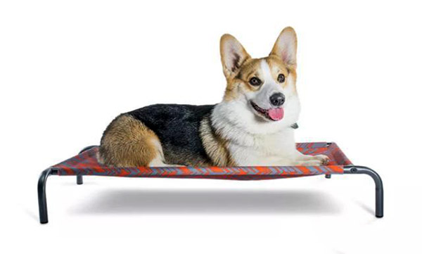 宠物用品|趣逗派宠物用品|东莞市琪美实业有限公司