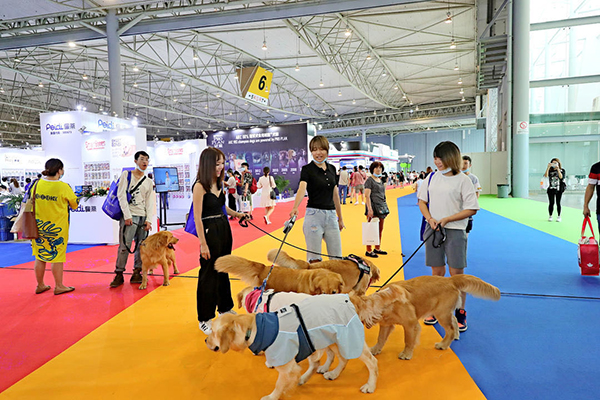 宠物用品|趣逗派宠物用品|东莞市琪美实业有限公司