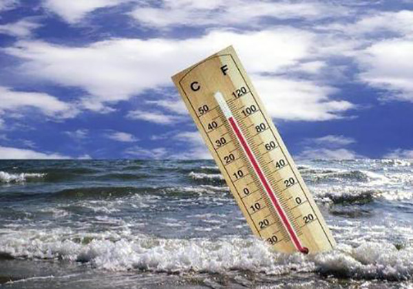 宠物用品|趣逗派宠物用品|东莞市琪美实业有限公司