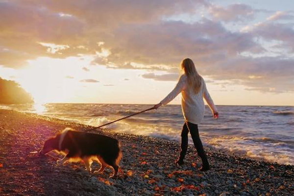 宠物牵引绳|宠物用品|宠物衣服生产厂家|趣逗派宠物用品|东莞市琪美实业有限公司