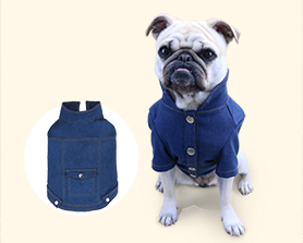 宠物外套|宠物用品生产厂家|东莞市琪美实业有限公司